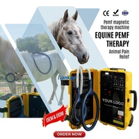 Appareil de physiothérapie équine portable et réglable Health Equine LOOP, magnétothérapie PEMF, équipement orthopédique pour chevaux, PEMF LOOP