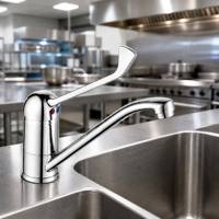 Robinet de cuisine monocommande à bec fixe, corps en laiton, montage sur comptoir, poignée longue ergonomique, finition chromée, pour évier commercial