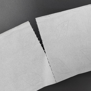 <span class=keywords><strong>Papier</strong></span> <span class=keywords><strong>toilette</strong></span> écologique OEM |   2 plis, 500 feuilles par rouleau |   <span class=keywords><strong>Papier</strong></span> <span class=keywords><strong>toilette</strong></span> biodégradable avec logo personnalisé en gros - Product Image 4