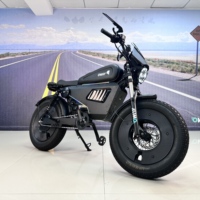 Elektrikli Bisiklet ABD AB Yeni Model Owayebike Black Warrior 3000W ABD için Alüminyum Alaşımlı NFC GPS YÜKSEK HIZLI Çift Disk Frenli E-BİSİKLET