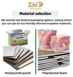 Bao bì làm mát thực phẩm cách nhiệt cho dập nổi đông lạnh Hộp carton cách điện 72 giờ để vận chuyển chuỗi lạnh - Product Image 2