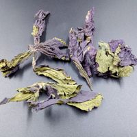 Bahan Bumbu Kkaennip Kimchi DAUN Perilla Frutescens Kering Mentah Daun Perilla untuk Dijual