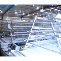 Système de cage de batterie de poulet de ponte d'oeufs de couche galvanisée automatique de type A de ferme avicole