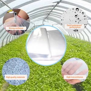 Film de serre agricole en PE tissé résistant aux UV, <span class=keywords><strong>prix</strong></span> compétitif, directement de l'usine - Product Image 1
