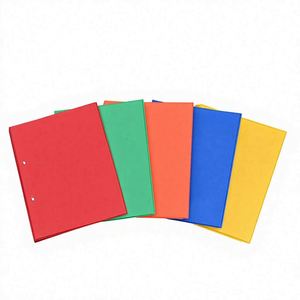 Carpetas de Plástico Coloridas con Cierres Fuertes para Organizar Documentos, Suministros de Oficina, Contratos - Logotipo Personalizado, Disponibles al por Mayor - Product Image 1