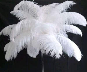 45-50 Cm Plumes d'autruche blanches teintées en blanc pour décoration de fête décorations de mariage - Product Image 1