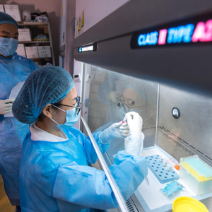 Phòng thí nghiệm Nguồn cung cấp rat <span class=keywords><strong>VEGF</strong></span>-A (mạch máu nội mô tế bào tăng trưởng Factor A) <span class=keywords><strong>Elisa</strong></span> <span class=keywords><strong>Kit</strong></span> - Product Image 3