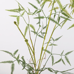 เฟิร์นประดิษฐ์ Qihao พร้อมใบติดกัน สมจริงสูง ตกแต่งบ้านในร่ม พลาสติกสีเขียว - Product Image 4