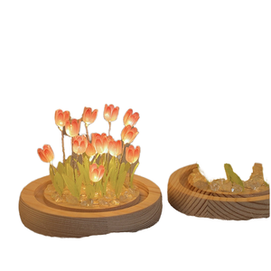 हस्तनिर्मित आधुनिक मिनी नेतृत्व वाली क्रिस्टल ग्लास बॉल लैंप डिय होम सजावटी ट्यूलिप फूल बेडरूम रात लाइट ऐक्रेलिक ट्यूलिप पीसी बैटरी - Product Image 4