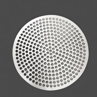 Grille de drainage principale personnalisée antidérapante en acier inoxydable perforé à œil de poisson pour passerelle industrielle