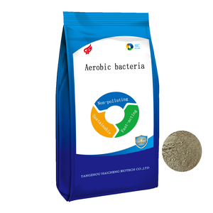 Bacterias Aeróbicas en Polvo de Alta Viabilidad ≥20B CFU/g para Tratamiento de Aguas Residuales Municipales, Impresión, Teñido y Alimentos - Product Image 1