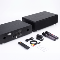Enceinte de karaoké sans fil pour fête, audio domestique, double microphone X6