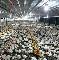 Système d'alimentation et d'abreuvement automatique pour poulets de chair en élevage au sol et reproducteurs de volailles