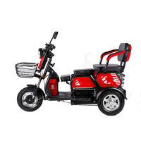 Gran oferta precio barato 600W 48V Ebike 3 ruedas triciclo eléctrico de largo alcance multifunción E-Bike bicicleta eléctrica de carga para adultos