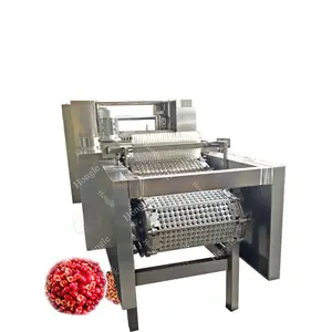 Mesin penghilang batu Cherry otomatis mesin penghilang Cherry Core mesin pelubang biji Cherry