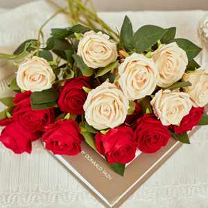 IA1025 vendita calda a stelo singolo <span class=keywords><strong>rose</strong></span> artificiali <span class=keywords><strong>fucsia</strong></span> fiori artificiali all'ingrosso velluto <span class=keywords><strong>rose</strong></span> immortali - Product Image 2