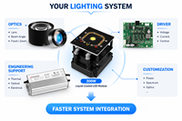 Source de lumière LED compacte COB à refroidissement liquide haute puissance 400W pour l'éclairage architectural et paysager