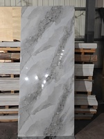 Panneau mural en plastique alternatif pour panneau UV en PVC pour décoration intérieure moderne imperméable facile à installer
