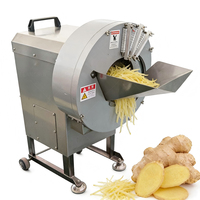 Machine voor het snijden en raspen van groenten, kokosnoot, bamboe, gember en radijs voor commercieel gebruik