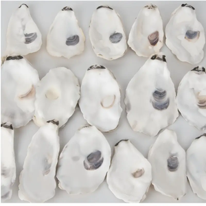 17Pcs Tự Nhiên Phẳng Vỏ Sò 3-5in Trung Bình Để Lớn, Đĩa Hình, Craft Vỏ Biển Cho Xmas Đồ Trang Trí, DIY Nghệ Thuật Và Hàng Thủ Công - Product Image 5