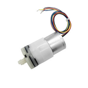 Pompe à eau miniature sans balais 310A personnalisée, longue durée de vie, électrique, auto-amorçante, pulvérisateur, pompe à eau portable - Product Image 4