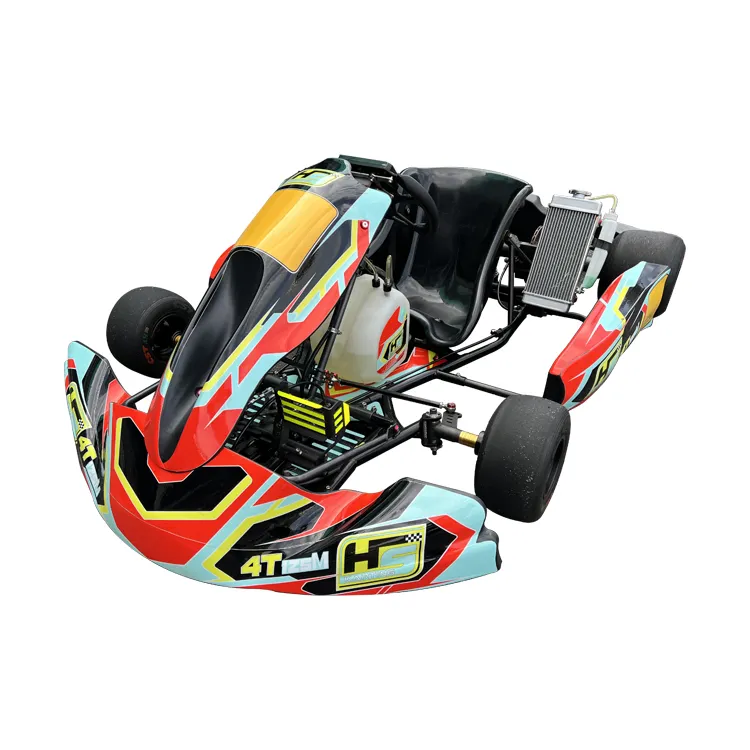 Fabriek Aantrekkelijke Racing Go Kart Hoge Kwaliteit 200Cc Volwassen Benzine Racing Benzine Karten