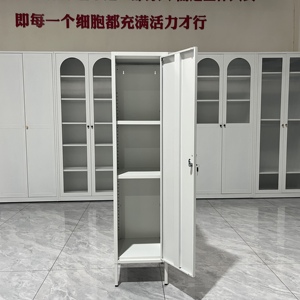 Diskon besar kabinet penyimpanan baja loker pintu tunggal 1 warna-warni baru untuk ruang tamu Modern Tallboy Steel Locke untuk bengkel kamar tidur - Product Image 3