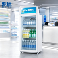 Kulkas Minuman Tegak 115L 0-10C Satu Pintu, Lemari Pendingin Display Komersial dengan Lampu Atas, Kelas Iklim ST