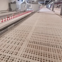 Plancher à lattes en plastique pour poulailler, poulailler pour poulets de chair et reproducteurs, plancher à lattes en plastique pour élevage de volailles