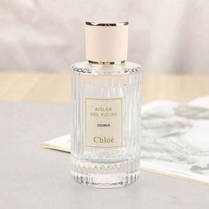 Flacon de parfum cylindrique en verre transparent de luxe rechargeable et personnalisable de 100 ml avec pulvérisateur à pompe et diffuseur à bâtonnets, prêt à l'emploi - Product Image 5