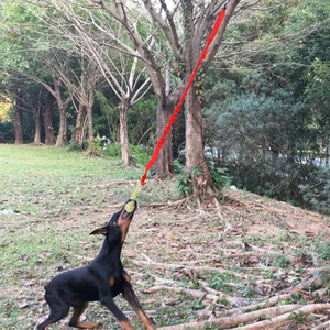 ของเล่นเชือกกัดทำความสะอาดฟันสุนัข เชือกยืดหยุ่นสำหรับเล่นดึง-ดึง ทอยอฟวอร์ สำหรับเล่นในบ้านและนอกบ้าน เหมาะสำหรับสุนัขขนาดกลาง - Product Image 4