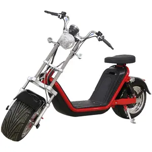 Avrupa depo EEC COC onaylı güçlü Citycoco 2000W elektrikli E Scooter yetişkinler için