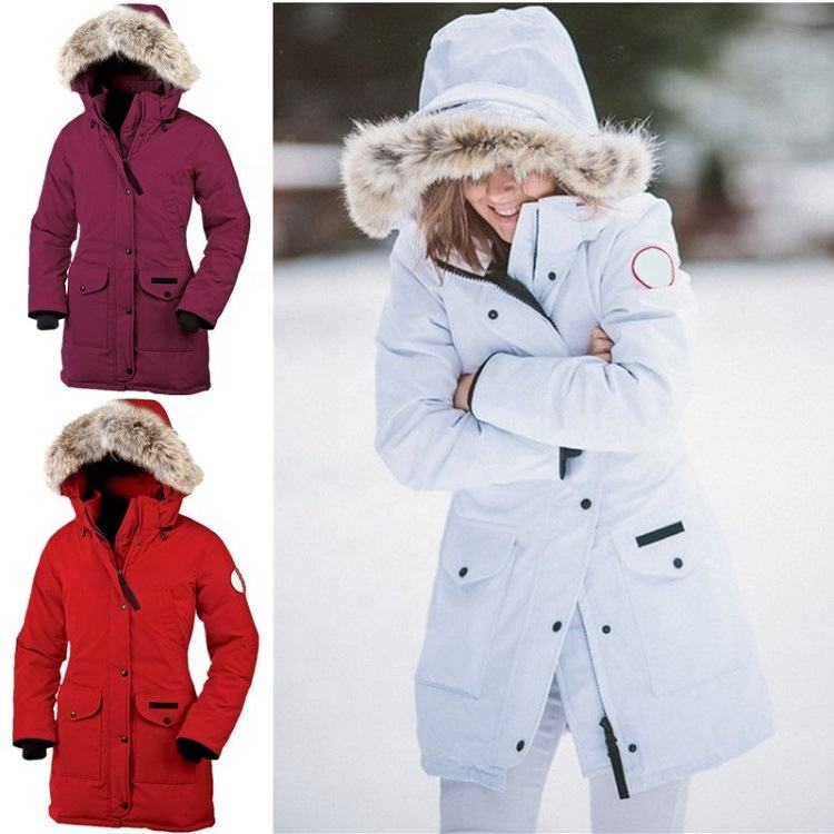 american goose jacket