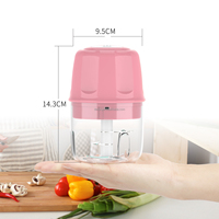 Portable sans BPA hachoir alimentaire 250ml en acier inoxydable USB recharge robot culinaire électrique hachoir ail hachoir