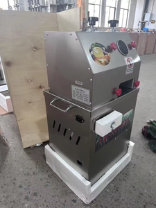 Máquina Extractora de Jugo de Caña de Azúcar de Acero Inoxidable de Alta Gama con Motor de 450W, Fácil de Operar - Product Image 2