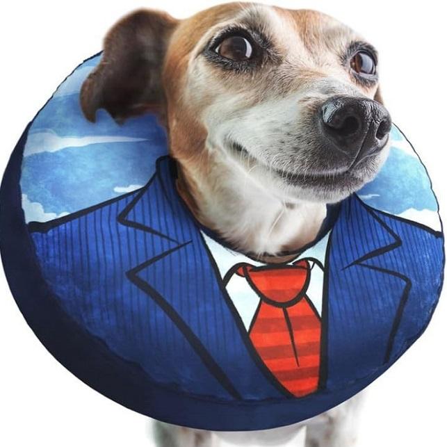 Factory Customization Inflatable Collar to Prevent Biting and Licking After  Dog Surgery Donut Cone for Pet