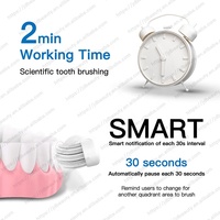 Brosse à dents électrique personnalisée à batterie, étanche IPX7, 6 modes, vibration haute fréquence, soin buccal – Direct Usine