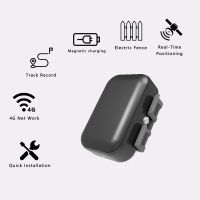 Mini traceur GPS pour animaux de compagnie HST C059 avec suivi en temps réel 2G/4G LTE cellulaire étanche via Beidou et compatible PC