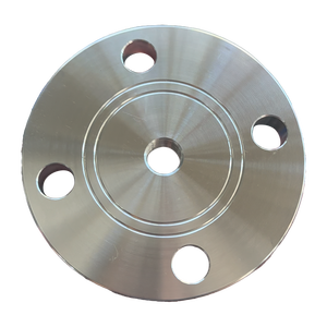 Ren thép không gỉ mặt bích JIS 10k SOP bspp tùy chỉnh inconel 625/825 F51/F53/F55/F44 904L HC-276 321 pipefitting GOST - Product Image 1