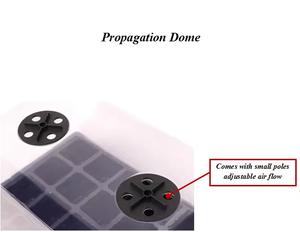 Plateau de Propagation en Serre Boost Seed Success avec Drainage XL pour des Racines Plus Fortes, Parfait pour les Jardiniers à Domicile - Product Image 2