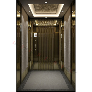 Ascensor Residencial de Bajo Precio <span class=keywords><strong>para</strong></span> Casa, Sistema de Elevación Pequeño <span class=keywords><strong>para</strong></span> Viviendas, 320kg 400kg, Ascensor Interior/Exterior <span class=keywords><strong>para</strong></span> Villa con Fácil Instalación - Product Image 4