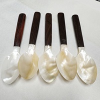 Cuillère à assaisonnement haut de gamme Seashell, 16 cm de long, manche en bois, artisanale, ovale, finition miroir polie