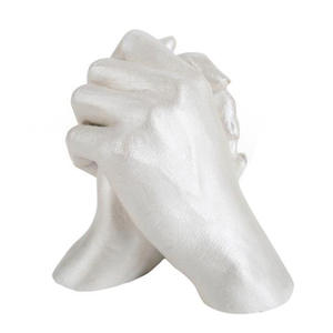 Dentale Alginato Polvere 3d A Mano Famiglia Casting Kit - Product Image 1