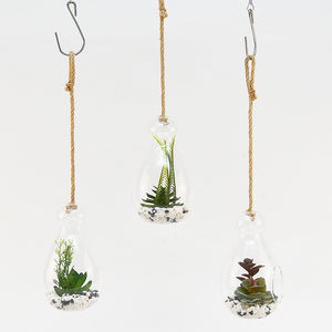 Boules de Terrarium en verre suspendu, ornement en boule avec corde de ficelle, décorations artificielles en mousse succulente - Product Image 2