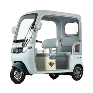 Tricycle électrique à toit ouvert Metropolis, moteur 60 volts 650W, 3 places, certifié CCC, matériau en acier, capacité de charge utile - Product Image 4