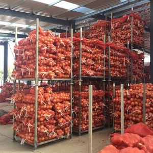 Exportation d'oignons rouges frais de haute qualité, d'oignons jaunes, d'oignons bruns, d'oignons blancs, d'oignons doux, <span class=keywords><strong>prix</strong></span> de gros - Product Image 6