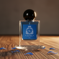 Flacon de parfum de luxe en verre transparent carré de 50 ml, étanche, avec bouchon en cuir et plastique, modèle en stock à faible MOQ pour la vente en gros