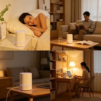 Mini humidificateur ultrasonique portable USB en gros, diffuseur d'arômes, purificateur d'air avec lumière LED, diffuseur de brume pour l'intérieur de la voiture