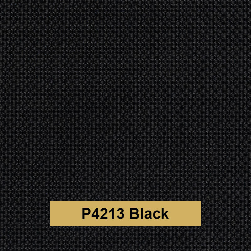 P4213 Noir