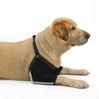 Harnais de protection pour coude de chien anti-léchage, manchon de récupération double pour pattes avant, respirant, réglable, protection solide contre les blessures